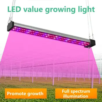 Светодиодный светильник для выращивания Эффективное Рассеивание тепла Высокая яркость Энергосберегающая, не бросающаяся в глаза Трубка Дневного света Plug-and-play Fruit Plant Gr