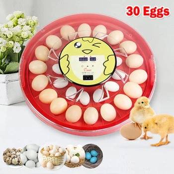 Автоматический Инкубатор для переворачивания яиц Smile Hatchery Machine Mini 30 шт Инкубатор для яиц с контролем температуры Куриное яйцо